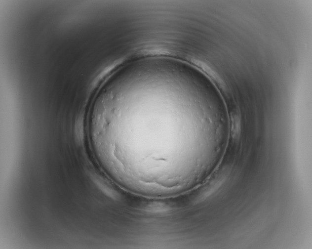 X0000113170390200909111039