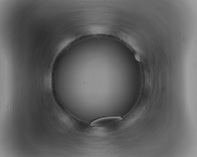 X0000113170391200909111039