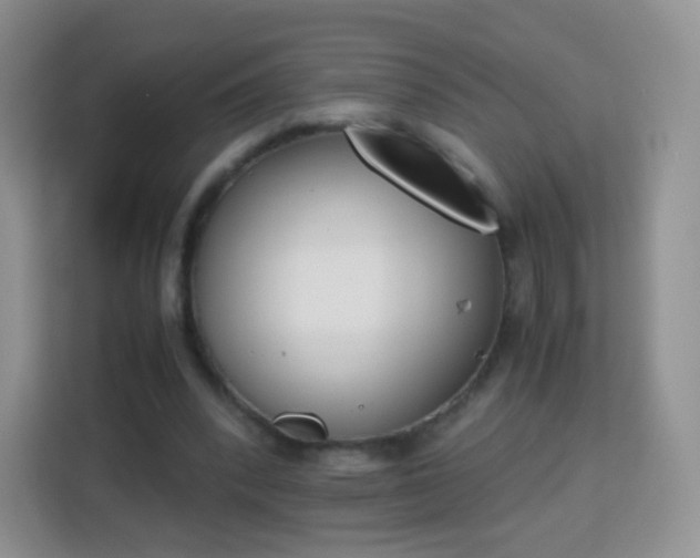 X0000113170392200909111039