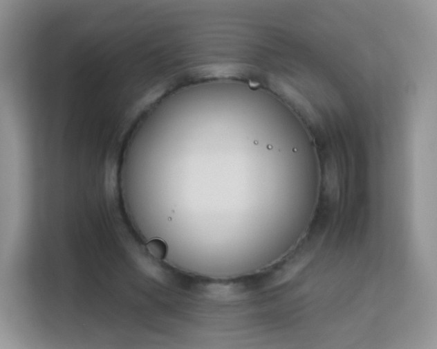 X0000113170394200909111039