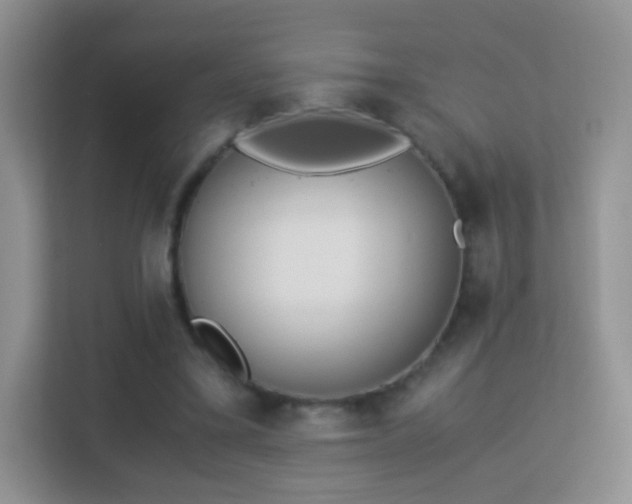 X0000113170395200909111039