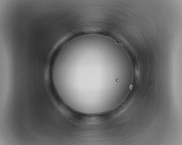 X0000113170396200909111039