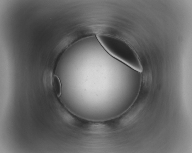 X0000113170397200909111038