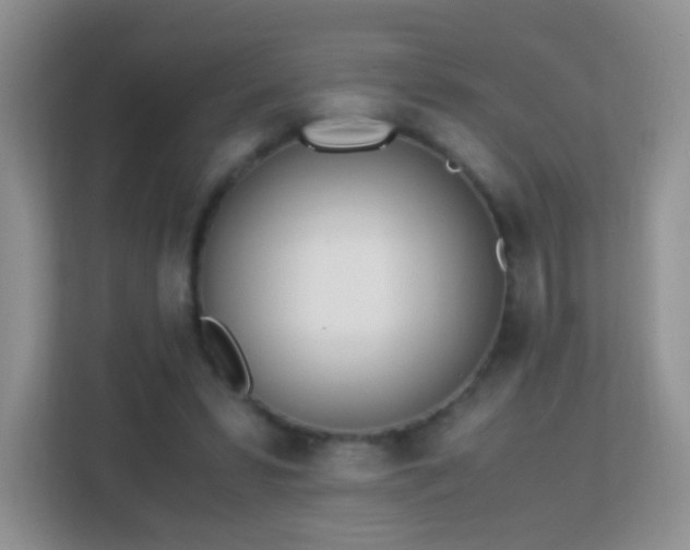 X0000113170399200909111038