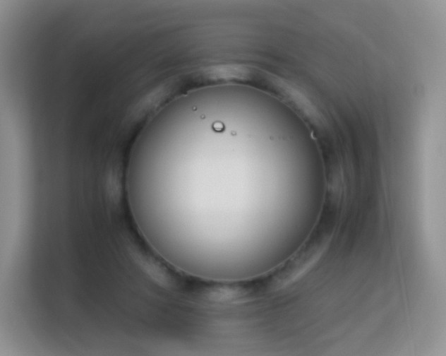 X0000113170402200909111038