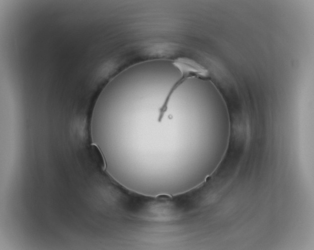 X0000113170403200909111038