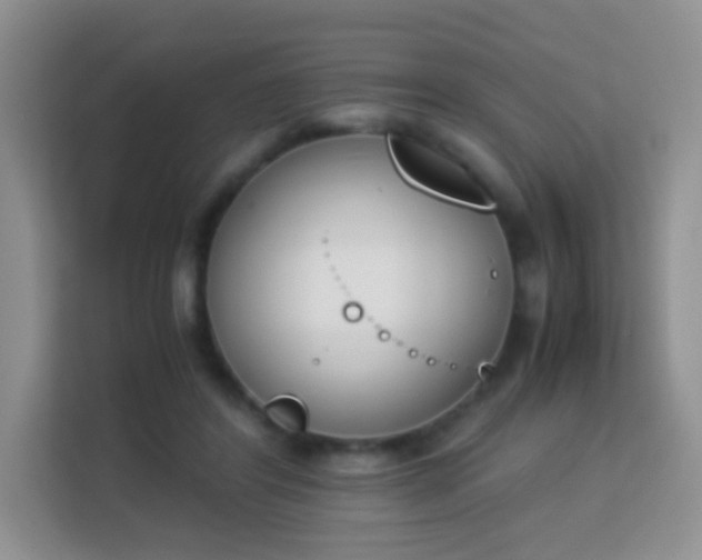 X0000113170404200909111038