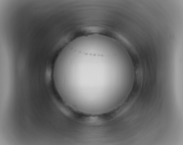 X0000113170406200909111038