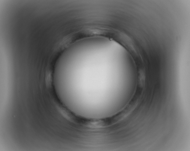 X0000113170410200909111038