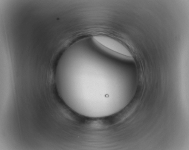 X0000113170411200909111038