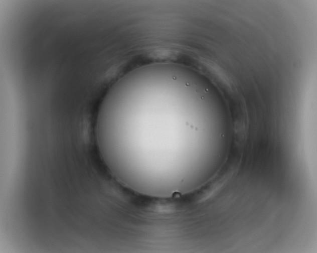 X0000113170416200909111038