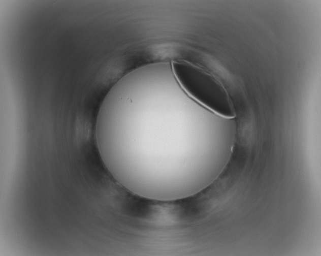 X0000113170417200909111038