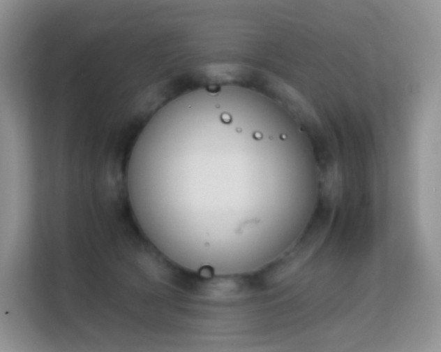 X0000113170418200909111038
