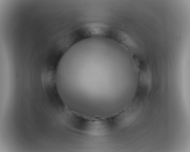 X0000113170419200909111038