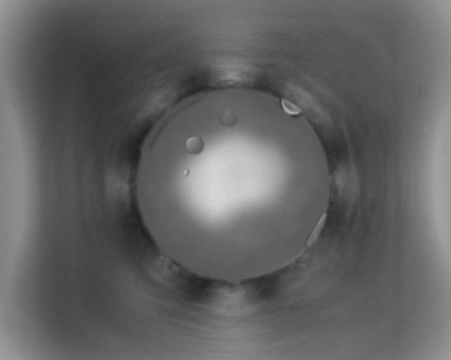 X0000113170423200909111038