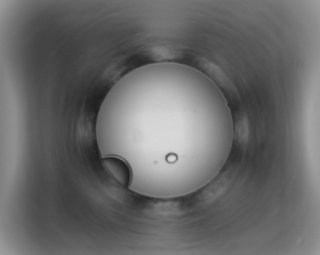 X0000113170426200909111038