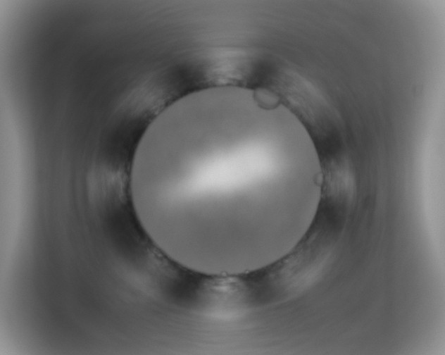 X0000113170427200909111038