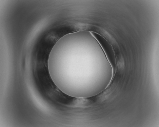 X0000113170429200909111038