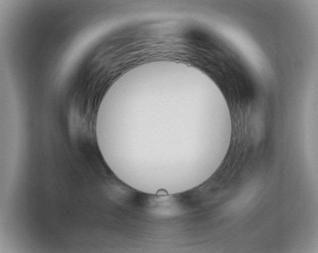 X0000113170431200909111038