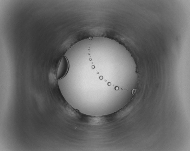 X0000113170432200909111038