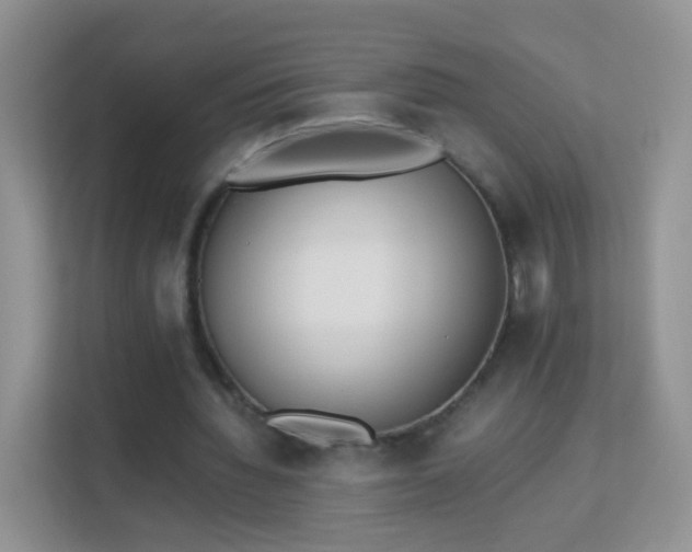X0000113170436200909111037