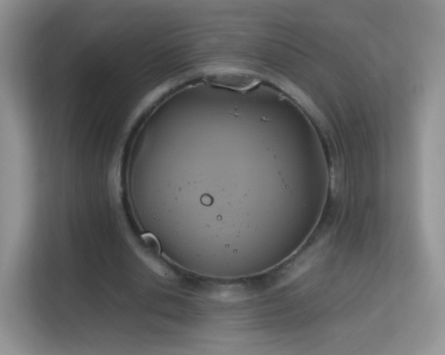 X0000113170438200909111037
