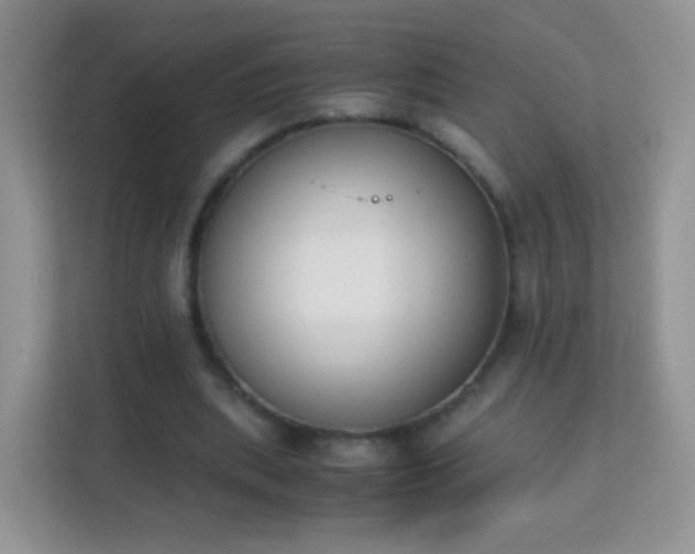 X0000113170439200909111037