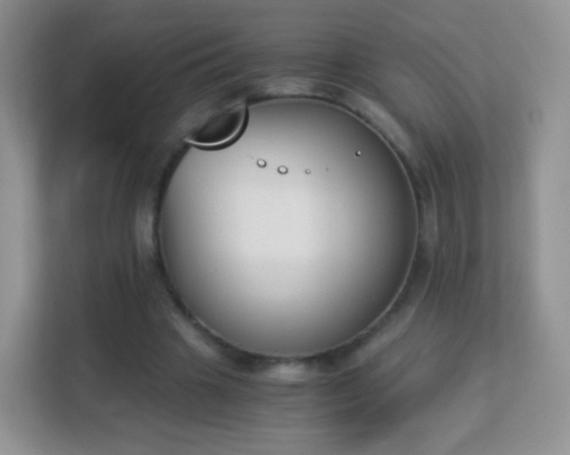 X0000113170441200909111038