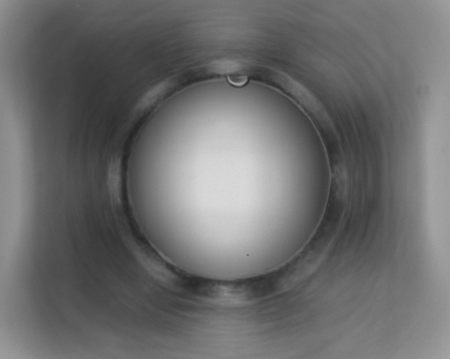 X0000113170442200909111038