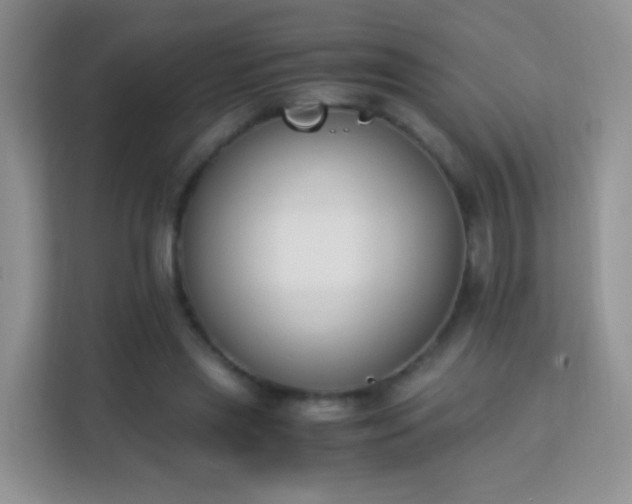 X0000113170445200909111038