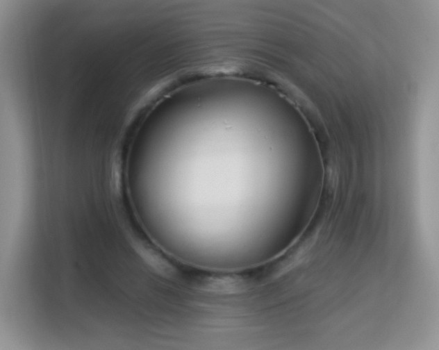 X0000113170446200909111038