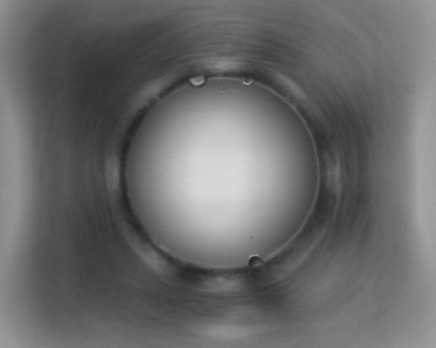X0000113170447200909111038