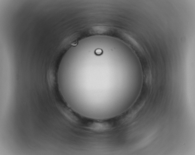 X0000113170455200909111038
