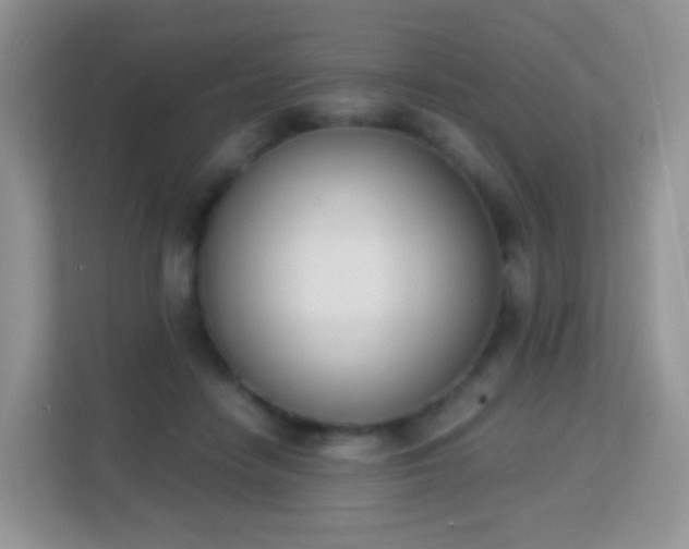 X0000113170458200909111038
