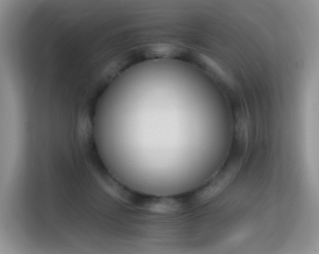 X0000113170459200909111038