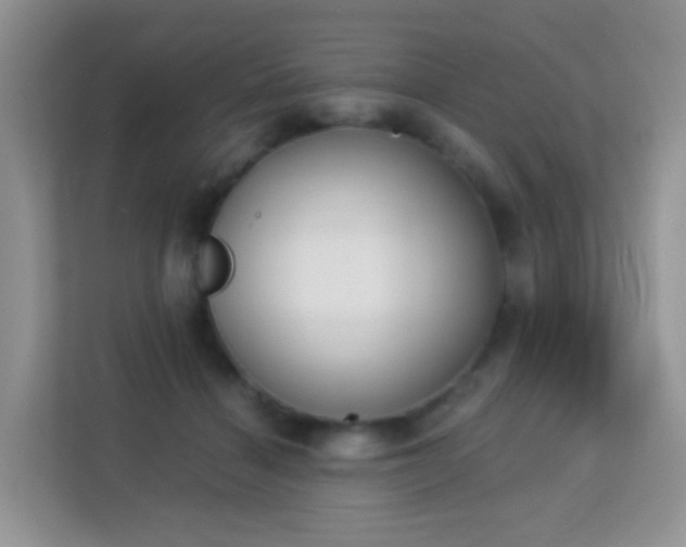 X0000113170460200909111038
