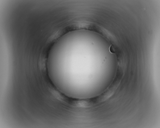 X0000113170462200909111038