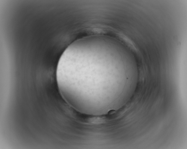 X0000113170465200909111038