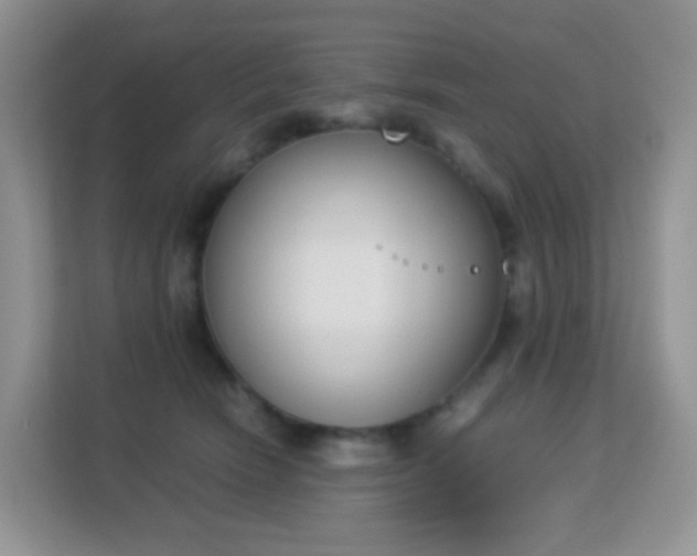 X0000113170466200909111038