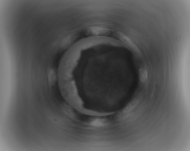 X0000113170471200909111038