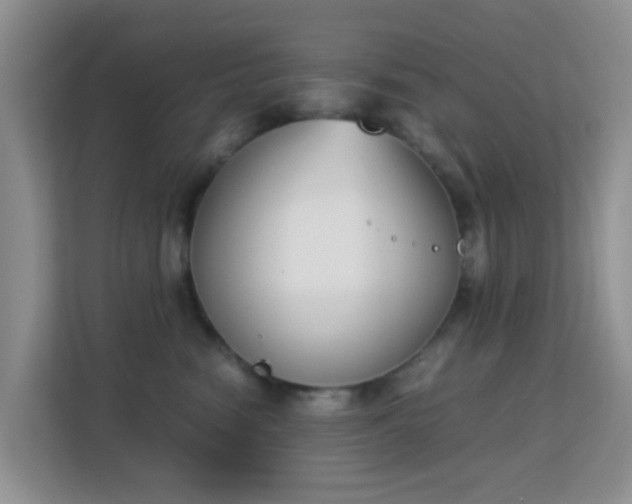 X0000113170474200909111038