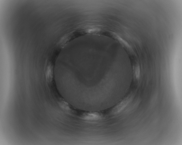 X0000113170475200909111038