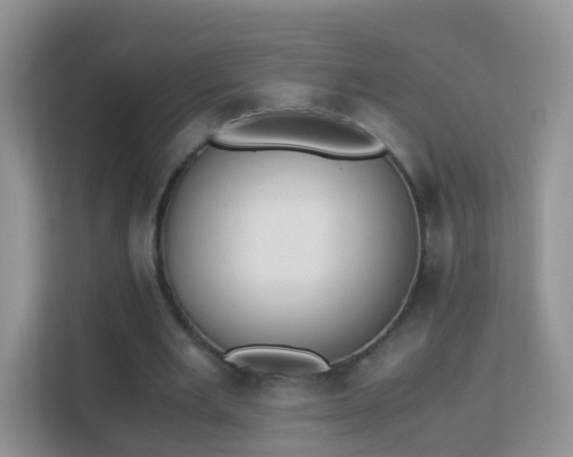 X0000113170485200909111037