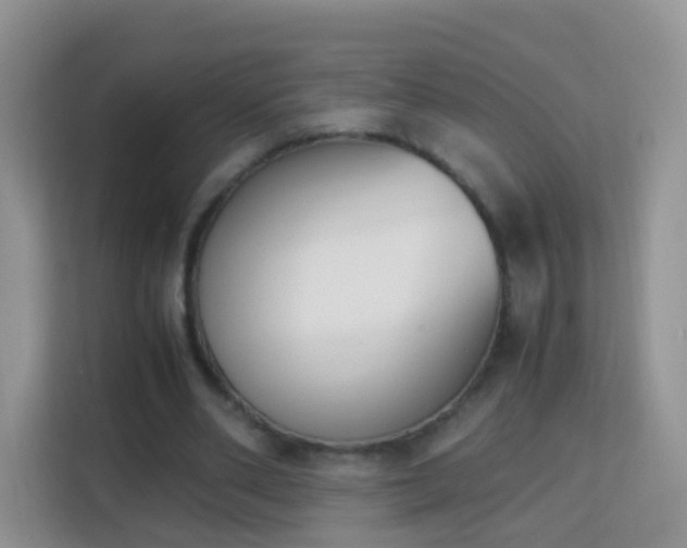 X0000113170486200909111037