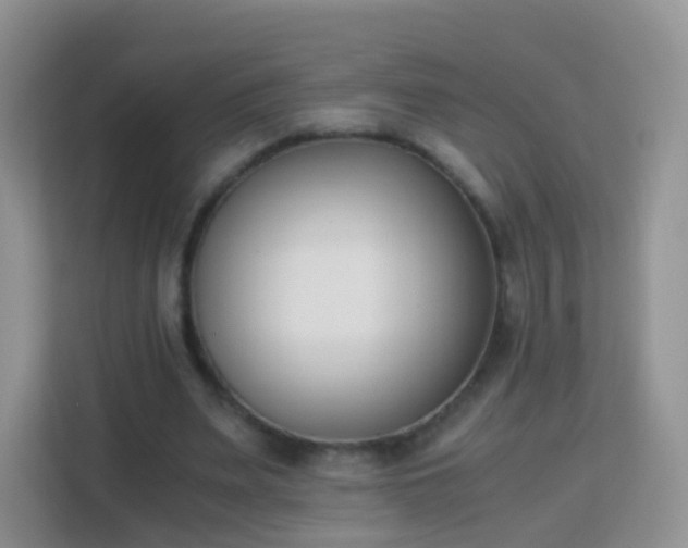 X0000113170487200909111037