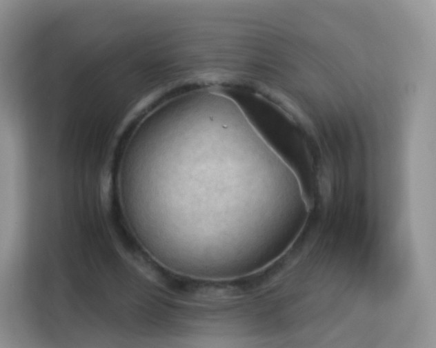 X0000113170488200909111037