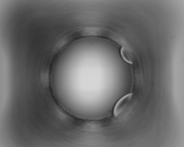 X0000113170489200909111037
