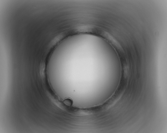 X0000113170490200909111037