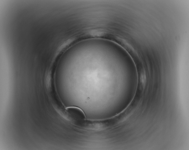 X0000113170492200909111037