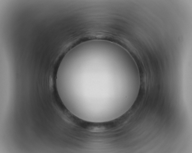X0000113170500200909111037